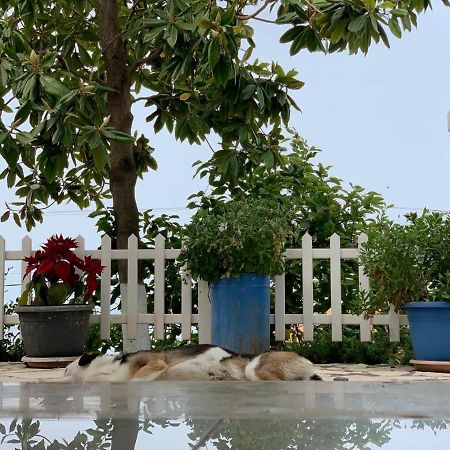 Holiday Home Ali Piqeras Εξωτερικό φωτογραφία