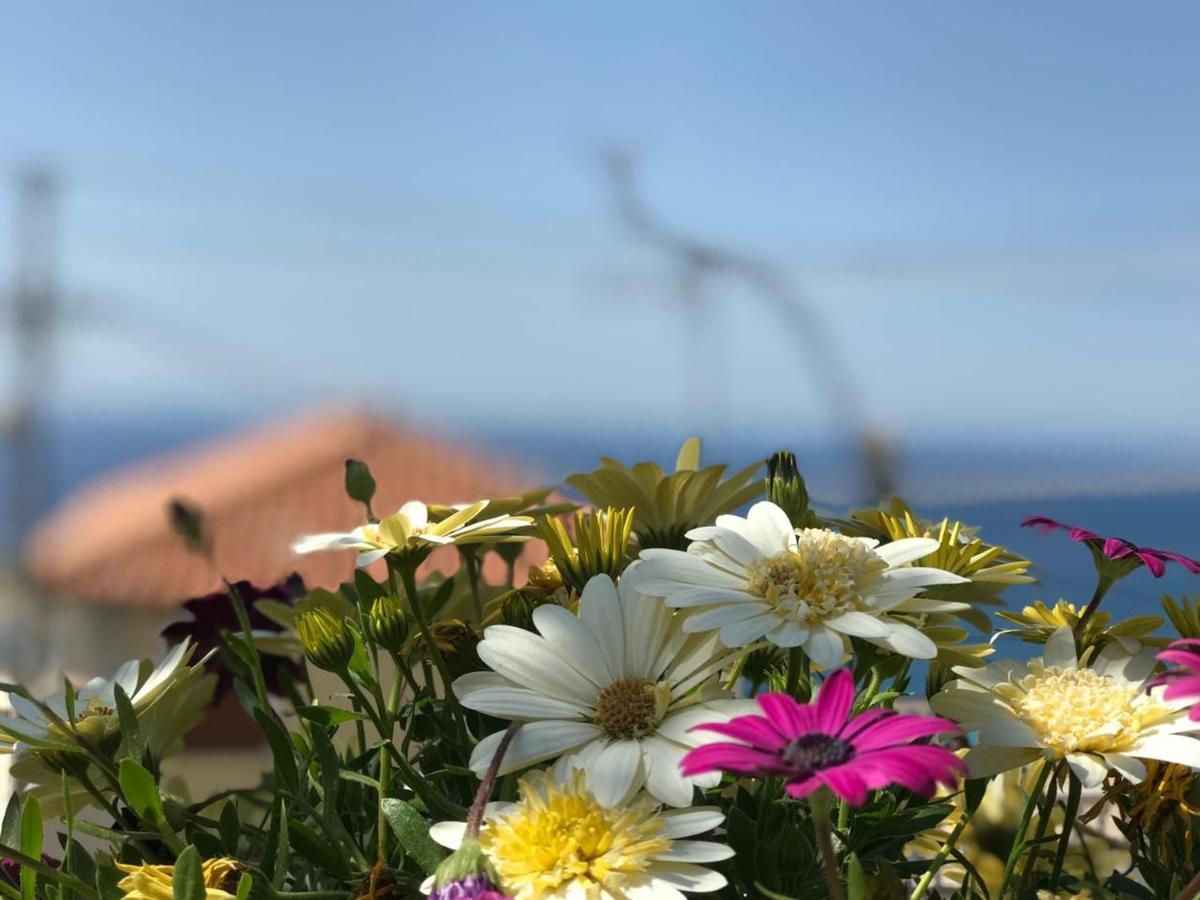 Holiday Home Ali Piqeras Εξωτερικό φωτογραφία
