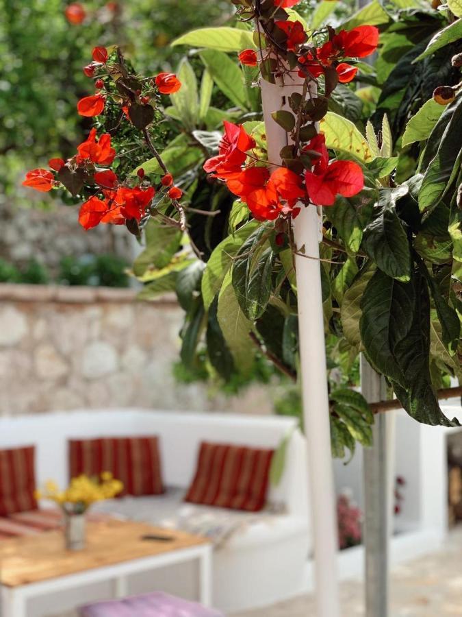 Holiday Home Ali Piqeras Εξωτερικό φωτογραφία